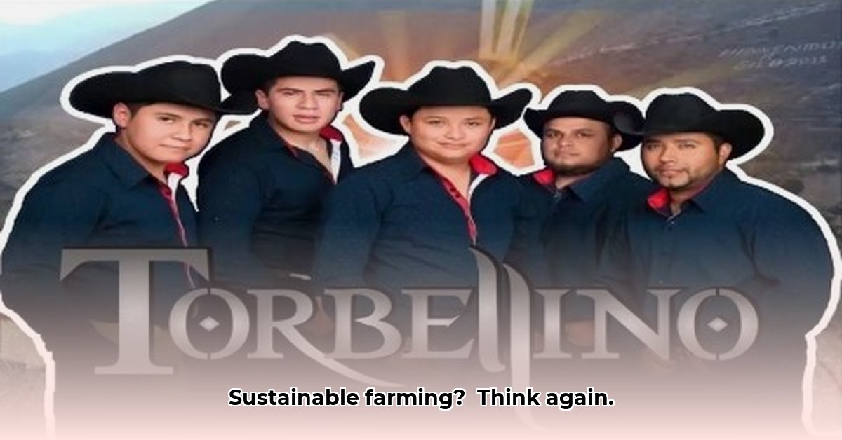 el-tractorista-letra